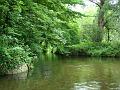 2008-0610_Morden_Hall_Park_1130_21_C